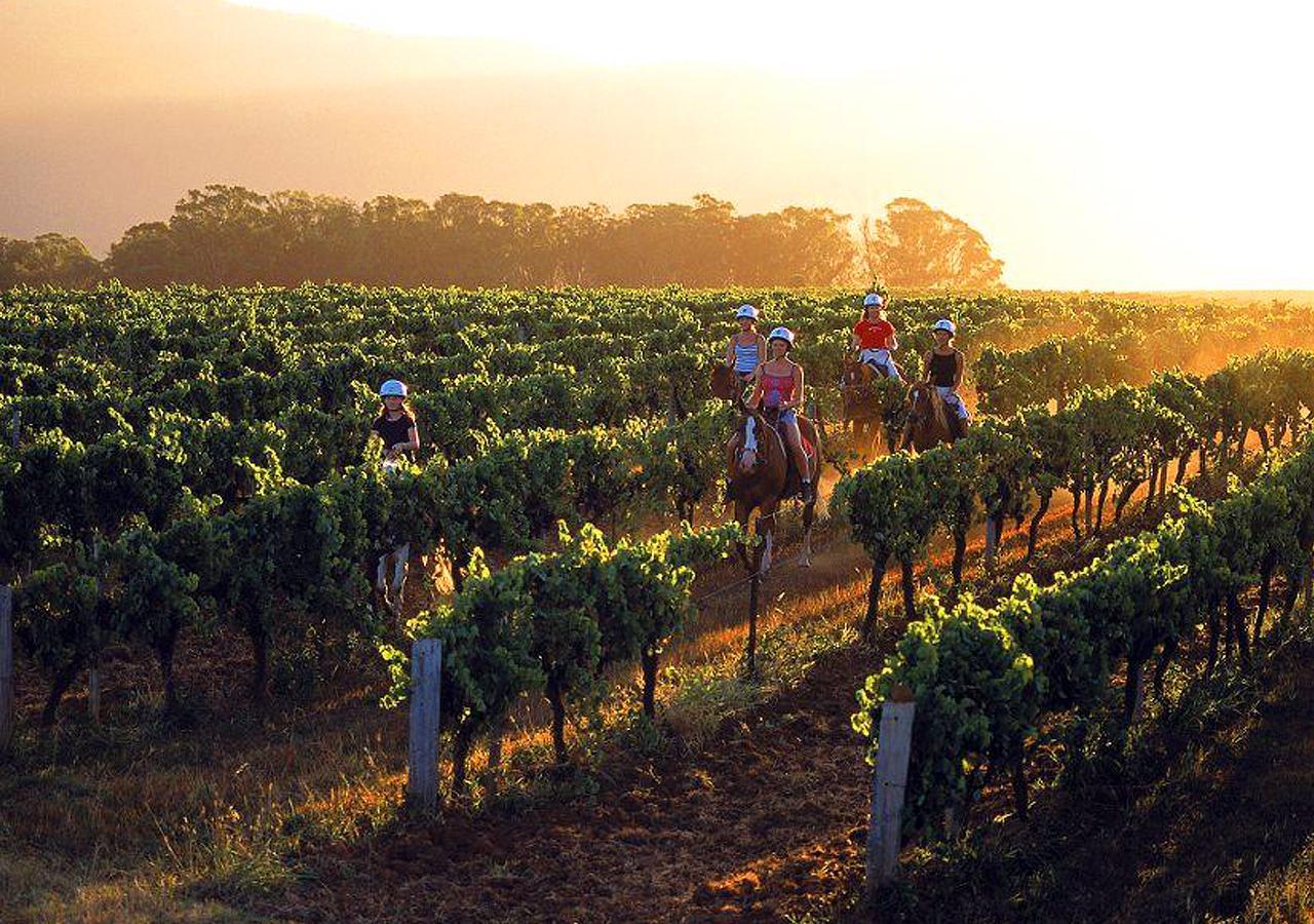 An Ideal Wine Country Getaway Villa Cessnock Buitenkant foto